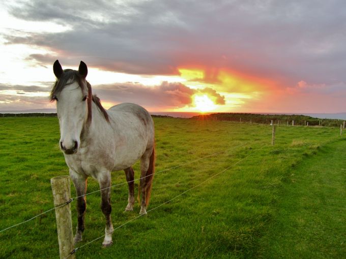 Sunset at Bromore Cliffs