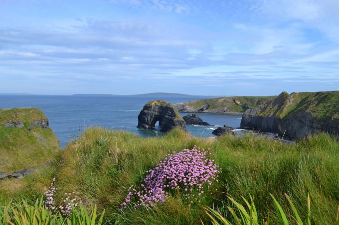 Flowers overlooking Vergin Rock