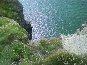 Cliff Walk image